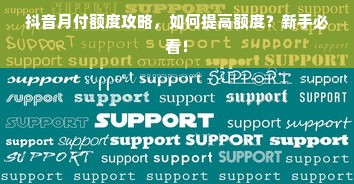 抖音月付额度攻略，如何提高额度？新手必看！