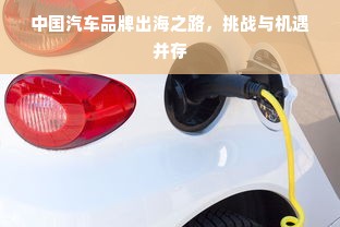 中国汽车品牌出海之路，挑战与机遇并存
