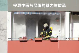 宁夏中医药品牌的魅力与传承