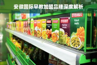安徽国际早教加盟品牌深度解析