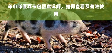 羊小咩便荔卡包额度详解，如何查看及有效使用