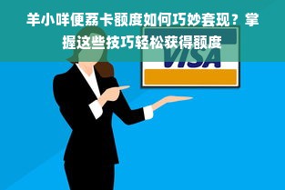 羊小咩便荔卡额度如何巧妙套现？掌握这些技巧轻松获得额度