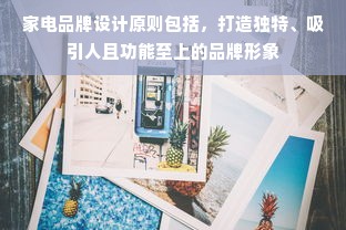 家电品牌设计原则包括，打造独特、吸引人且功能至上的品牌形象