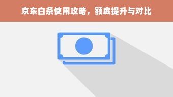 京东白条使用攻略，额度提升与对比