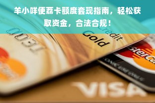 羊小咩便荔卡额度套现指南，轻松获取资金，合法合规！