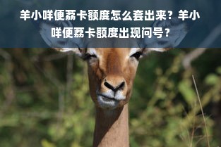 羊小咩便荔卡额度怎么套出来？羊小咩便荔卡额度出现问号？