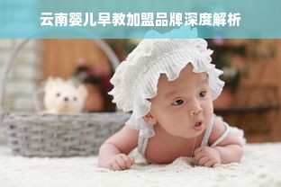 云南婴儿早教加盟品牌深度解析