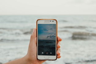 抖音月付额度怎么套出来？抖音月付预期两天关闭额度？