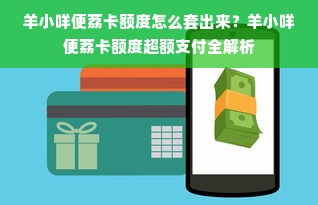 羊小咩便荔卡额度怎么套出来？羊小咩便荔卡额度超额支付全解析