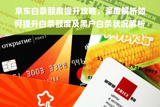 京东白条额度提升攻略，深度解析如何提升白条额度及黑户白条状况解析