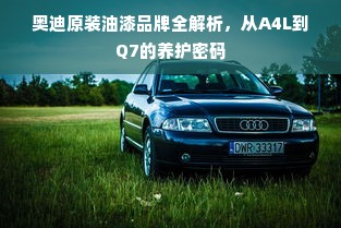 奥迪原装油漆品牌全解析，从A4L到Q7的养护密码