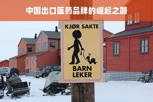 中国出口医药品牌的崛起之路