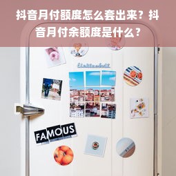 抖音月付额度怎么套出来？抖音月付余额度是什么？