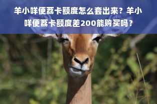 羊小咩便荔卡额度怎么套出来？羊小咩便荔卡额度差200能购买吗？