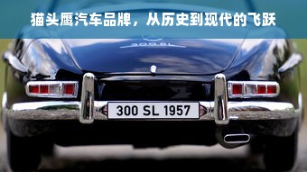 猫头鹰汽车品牌，从历史到现代的飞跃