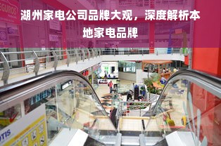 湖州家电公司品牌大观，深度解析本地家电品牌