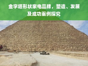 金字塔形状家电品牌，塑造、发展及成功案例探究