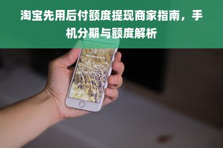 淘宝先用后付额度提现商家指南，手机分期与额度解析