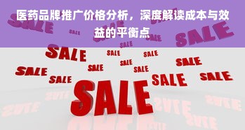 医药品牌推广价格分析，深度解读成本与效益的平衡点