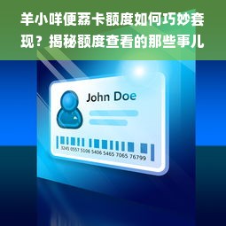 羊小咩便荔卡额度如何巧妙套现？揭秘额度查看的那些事儿