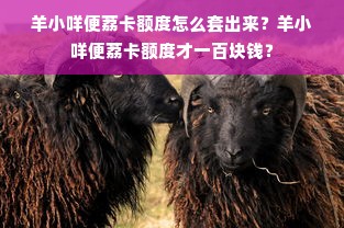 羊小咩便荔卡额度怎么套出来？羊小咩便荔卡额度才一百块钱？