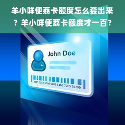 羊小咩便荔卡额度怎么套出来？羊小咩便荔卡额度才一百？