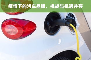 疫情下的汽车品牌，挑战与机遇并存