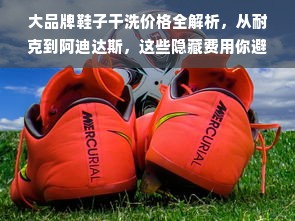 大品牌鞋子干洗价格全解析，从耐克到阿迪达斯，这些隐藏费用你避开了吗？
