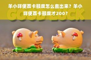 羊小咩便荔卡额度怎么套出来？羊小咩便荔卡额度才200？
