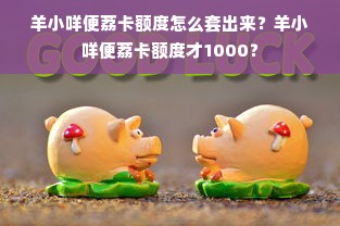 羊小咩便荔卡额度怎么套出来？羊小咩便荔卡额度才1000？