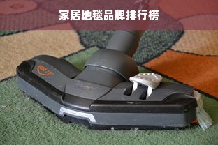 家居地毯品牌排行榜