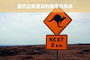医药品牌建设的难度与挑战