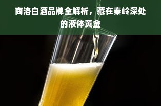 商洛白酒品牌全解析，藏在秦岭深处的液体黄金