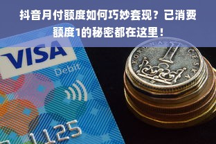 抖音月付额度如何巧妙套现？已消费额度1的秘密都在这里！