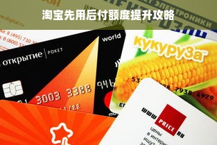 淘宝先用后付额度提升攻略