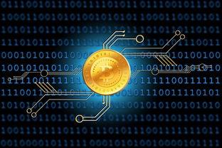 探索游戏世界，最新WP游戏排行一览