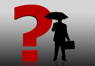 如何高效利用淘宝先用后付额度？