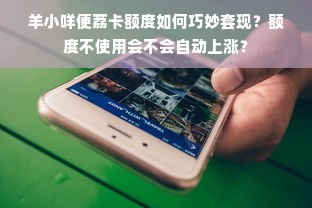 羊小咩便荔卡额度如何巧妙套现？额度不使用会不会自动上涨？
