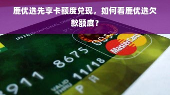 鹿优选先享卡额度兑现，如何看鹿优选欠款额度？