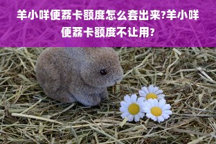 羊小咩便荔卡额度怎么套出来?羊小咩便荔卡额度不让用?
