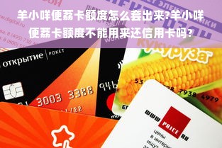 羊小咩便荔卡额度怎么套出来?羊小咩便荔卡额度不能用来还信用卡吗?