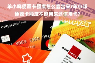 羊小咩便荔卡额度怎么套出来?羊小咩便荔卡额度不能用来还信用卡?