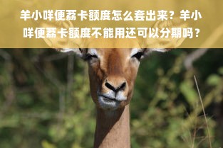 羊小咩便荔卡额度怎么套出来？羊小咩便荔卡额度不能用还可以分期吗？