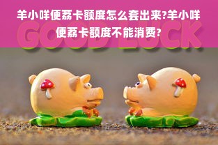 羊小咩便荔卡额度怎么套出来?羊小咩便荔卡额度不能消费?