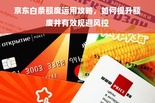 京东白条额度运用攻略，如何提升额度并有效规避风控