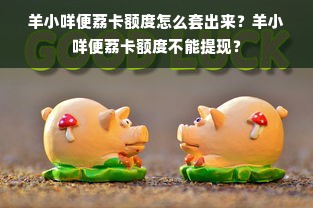 羊小咩便荔卡额度怎么套出来？羊小咩便荔卡额度不能提现？