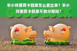 羊小咩便荔卡额度怎么套出来？羊小咩便荔卡额度不能分期吗？