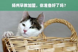 扬州早教加盟，你准备好了吗？