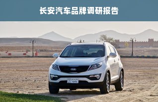 长安汽车品牌调研报告