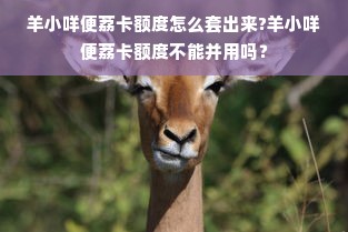羊小咩便荔卡额度怎么套出来?羊小咩便荔卡额度不能并用吗？